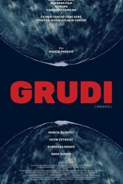 Grudi