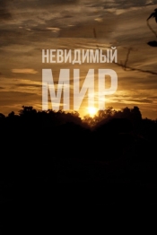 Невидимый мир