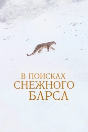 В поисках снежного барса